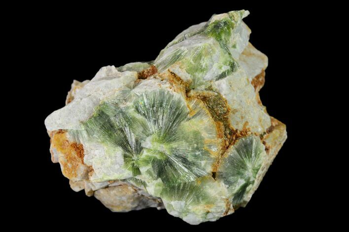 Radiating, Green Wavellite Crystal Aggregation - Arkansas #135948